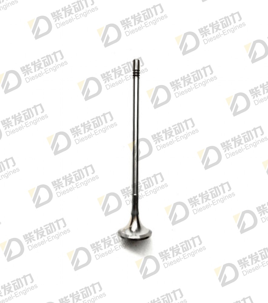 Exhaust valve 20570965 